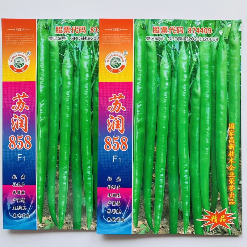 正牌苏润858特长线椒种子条椒辣椒种籽特高产抗病线椒种子