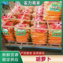 安徽精品胡萝卜产地直供对接批发市场电商美团拼多多