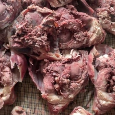原味去皮牛头肉