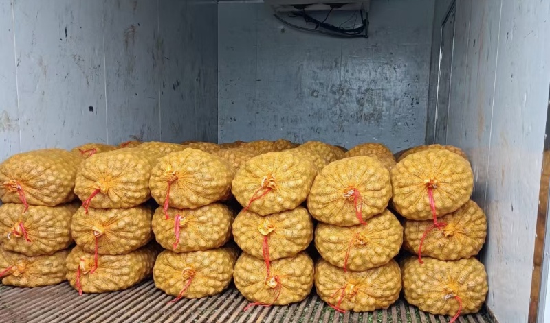 去皮鲜核桃，可手工脱皮可机器脱皮，质量保证，支持一件代发
