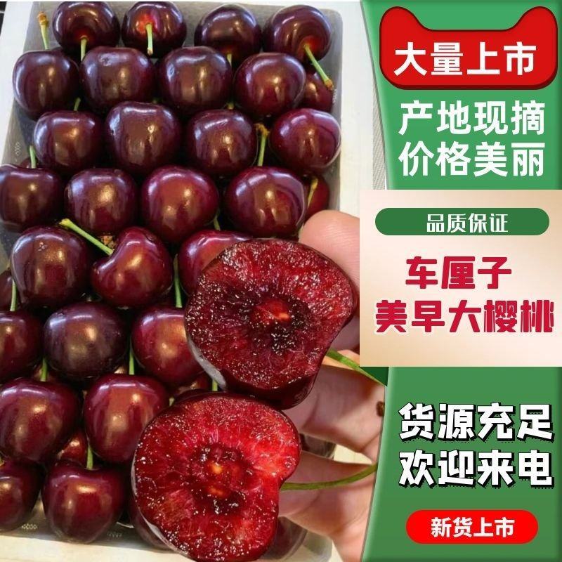 山东烟台美早大樱桃对接电商商超实力供应一件代发
