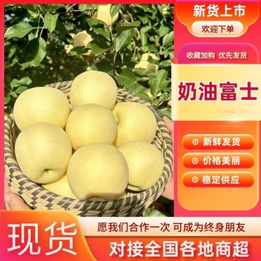 一件代发山东烟台黄金奶油富士苹果整车批发