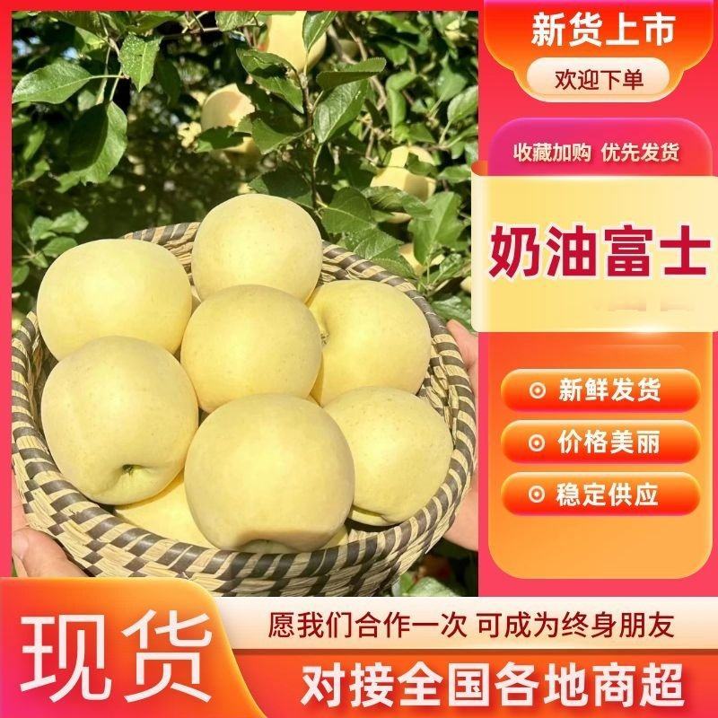 一件代发山东烟台黄金奶油富士苹果整车批发