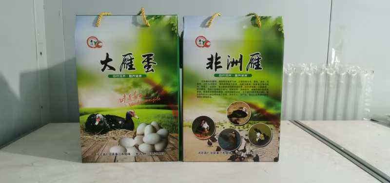 【精选】非洲雁蛋林间散养品质保证一手货源对接电商
