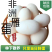 【精选】非洲雁蛋林间散养品质保证一手货源对接电商