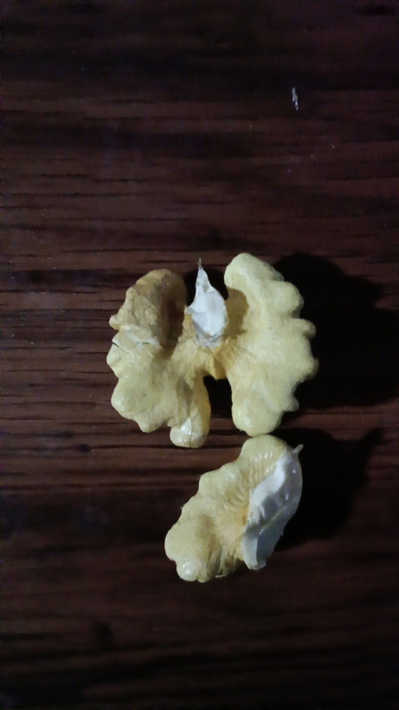 【青皮核桃】河北秦皇岛核桃青皮核桃货量大自家园子一手价