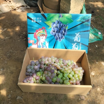 玫瑰绿葡萄电商小盒