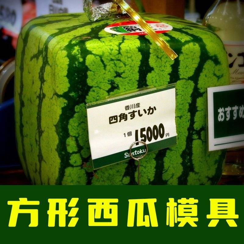 方形西瓜模具正方形西瓜模具水果模具人参果模具