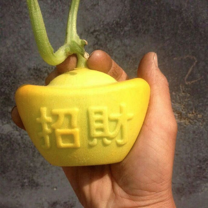 方形西瓜模具正方形西瓜模具水果模具人参果模具