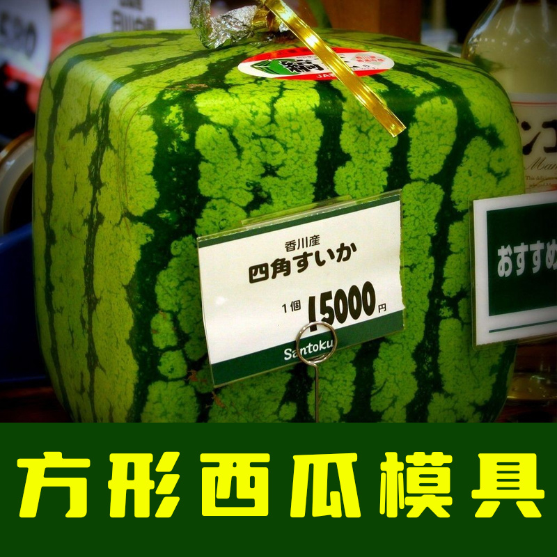 方形西瓜模具正方形西瓜模具水果模具人参果模具