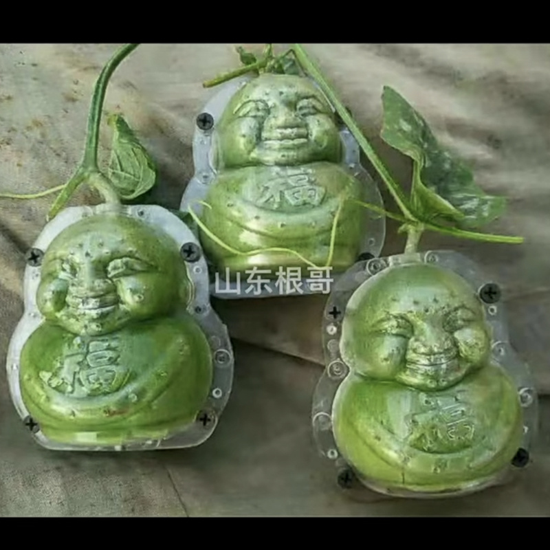 方形西瓜模具正方形西瓜模具水果模具人参果模具