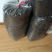 八月瓜茶，口感好，包邮，欢迎各位老板咨询，价格可谈