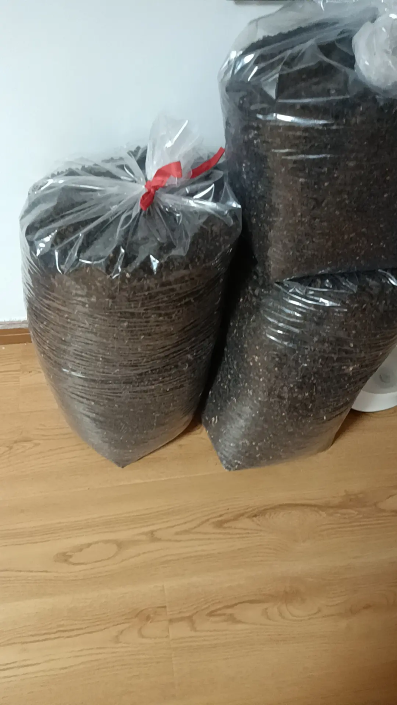 八月瓜茶，口感好，包邮，欢迎各位老板咨询，价格可谈