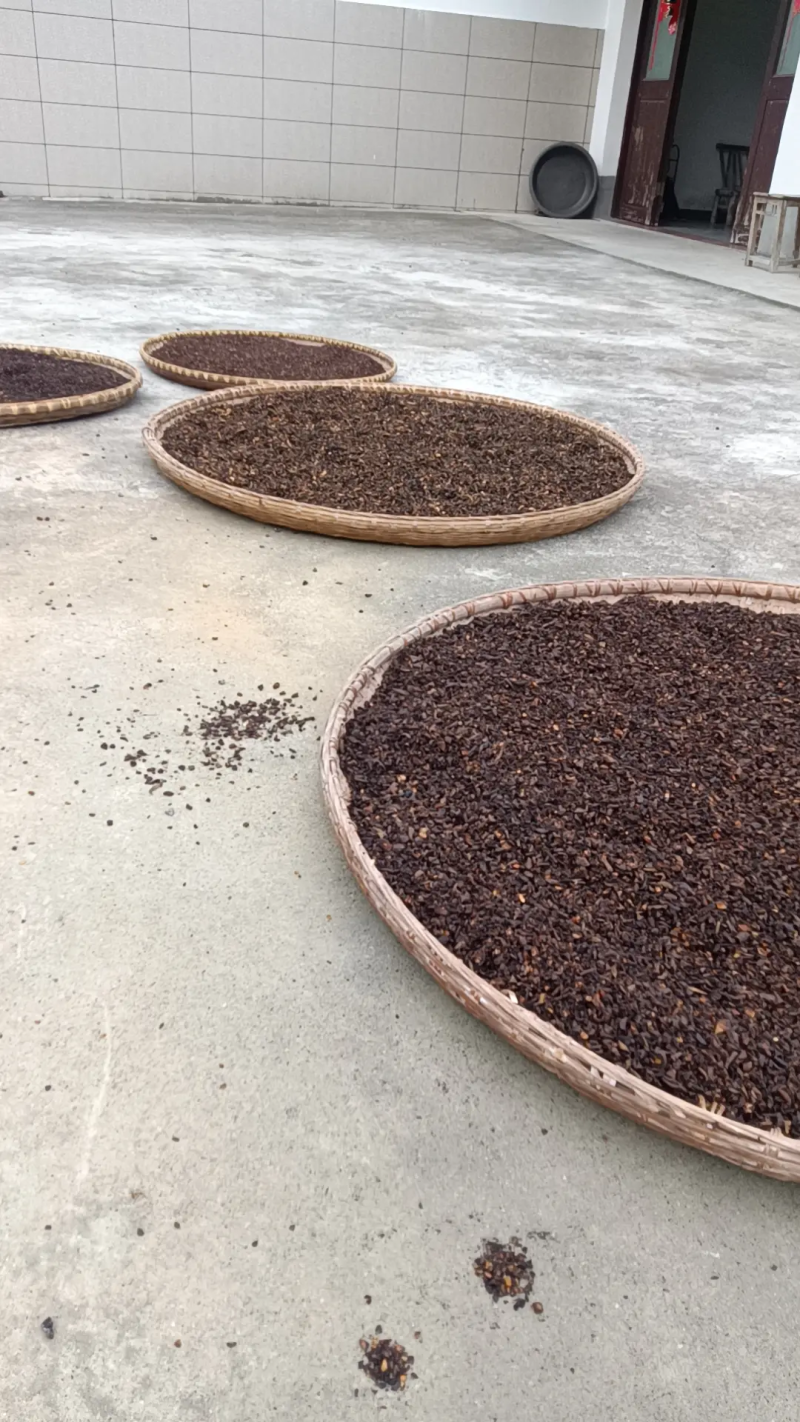 八月瓜茶，口感好，包邮，欢迎各位老板咨询，价格可谈