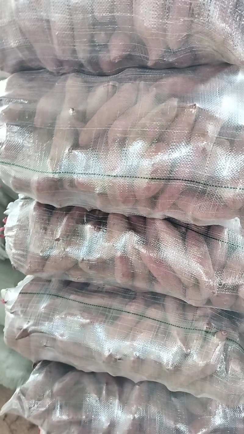 湖北优选紫薯品质保证价格美丽欢迎各位老板长期合作
