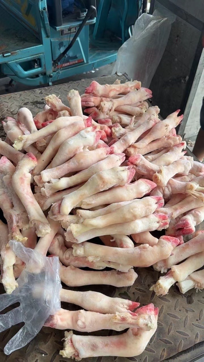 精品羊蹄无水无冰净重二十斤加工厂直销