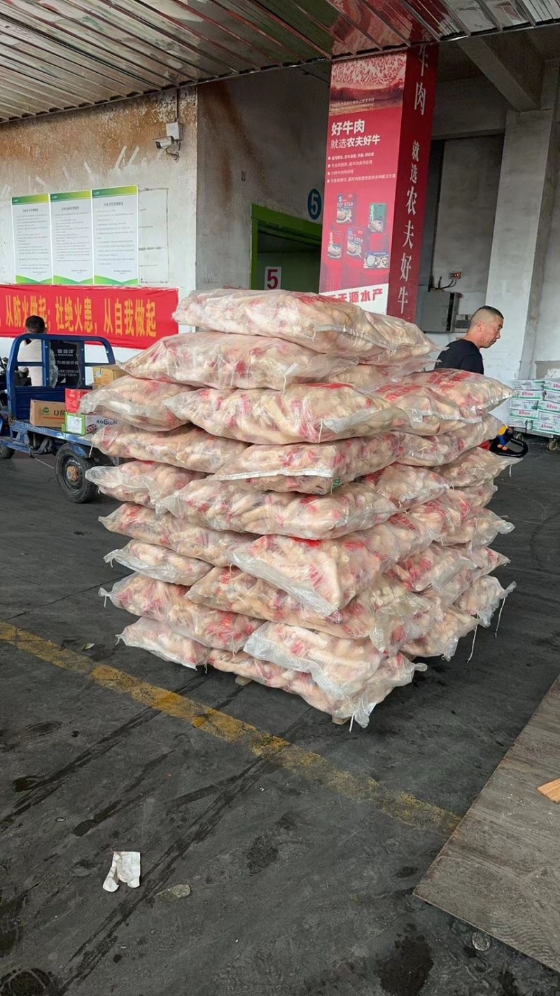 精品羊蹄无水无冰净重二十斤加工厂直销