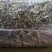 干货菌菇无干燥剂无熏硫风干嫩仔散装当季特产