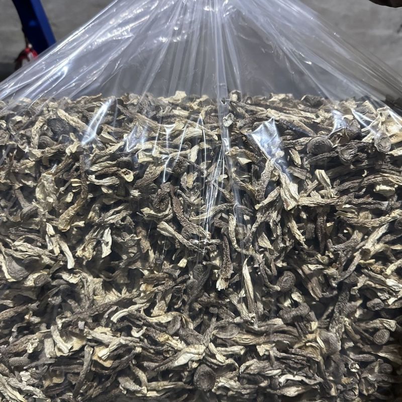 干货菌菇无干燥剂无熏硫风干嫩仔散装当季特产