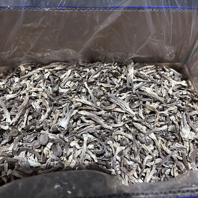干货菌菇无干燥剂无熏硫风干嫩仔散装当季特产