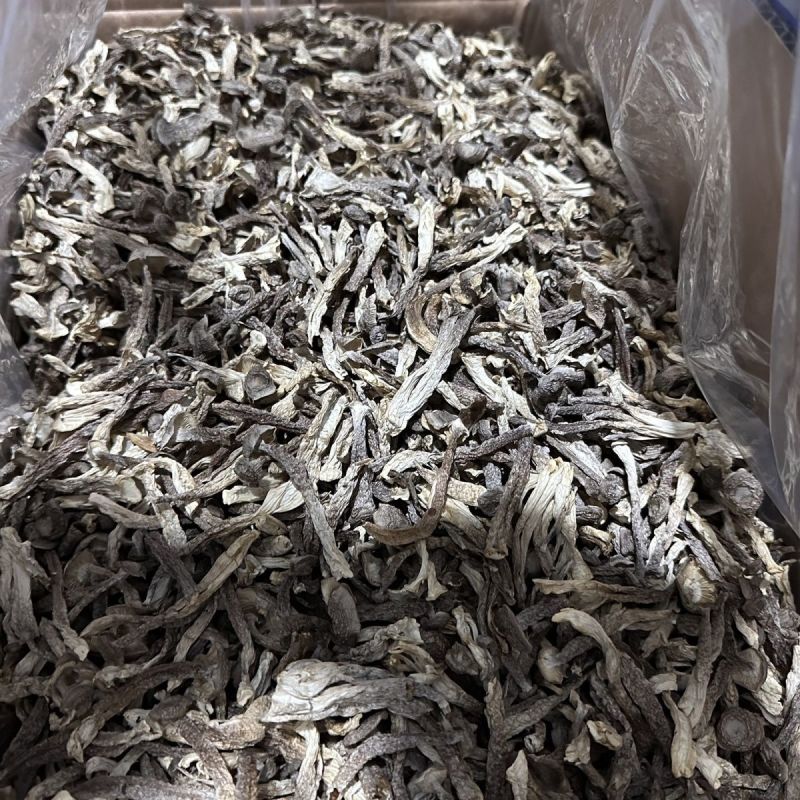 干货菌菇无干燥剂无熏硫风干嫩仔散装当季特产