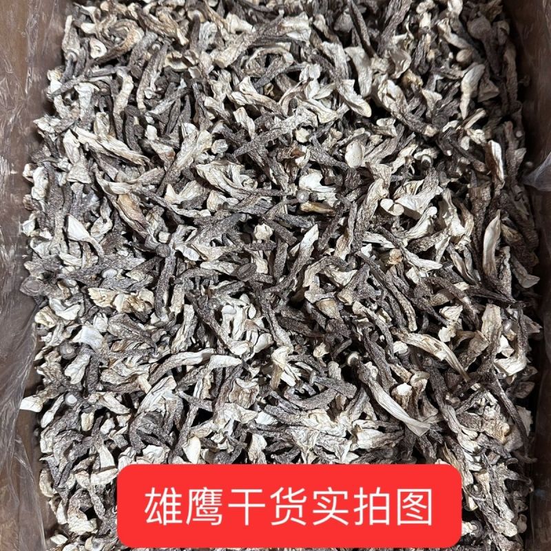 干货菌菇无干燥剂无熏硫风干嫩仔散装当季特产