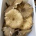 鸡枞菌