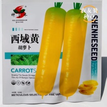 神禾西域黄胡萝卜种籽小顶皮厚芯米黄色胡萝卜种子甜脆