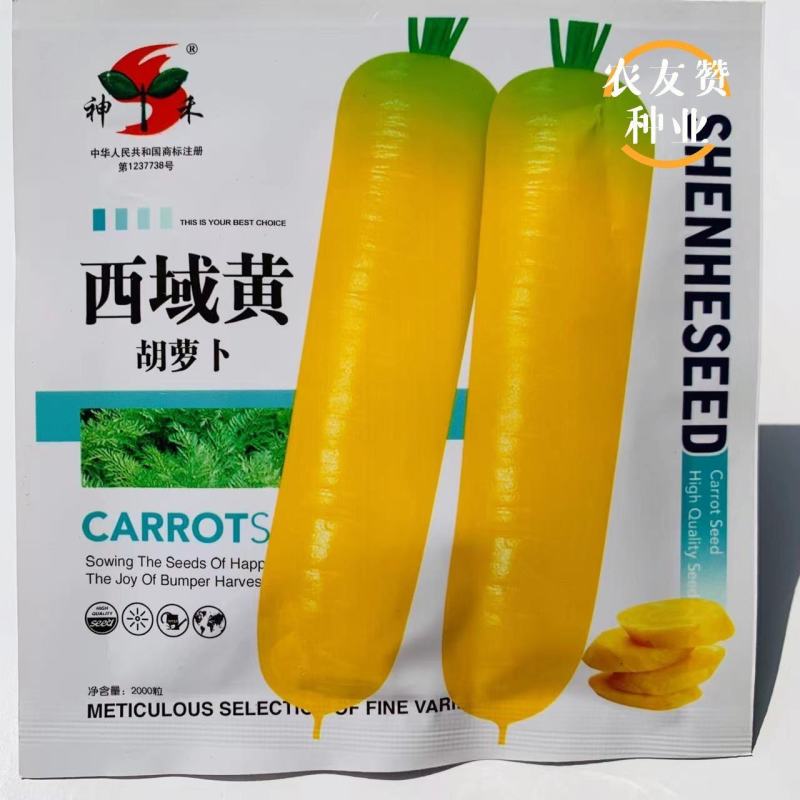 神禾西域黄胡萝卜种籽小顶皮厚芯米黄色胡萝卜种子甜脆