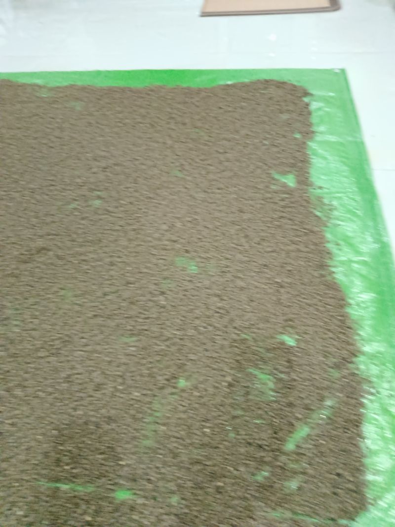 粉防己种子江西省赣州市宁都县自产自销5年树的粉防己种子