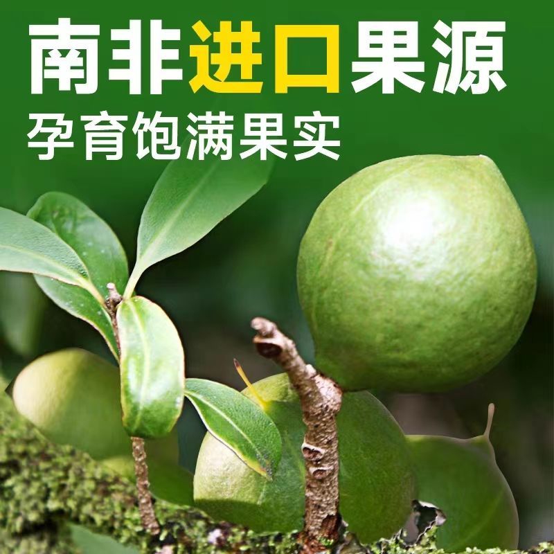 新夏果袋装夏威夷果奶油味仁整箱散装批发孕妇休闲坚果带壳奶