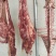 活羊现宰鲜羊肉
