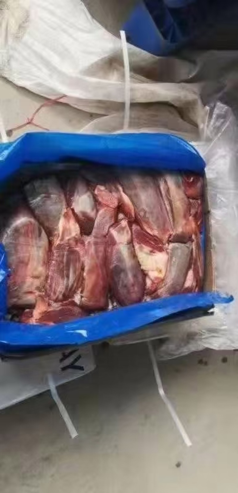 驴腱子