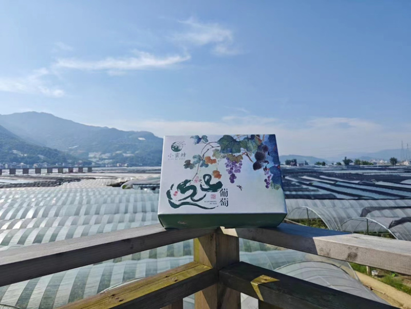 巨峰礼盒精品包装