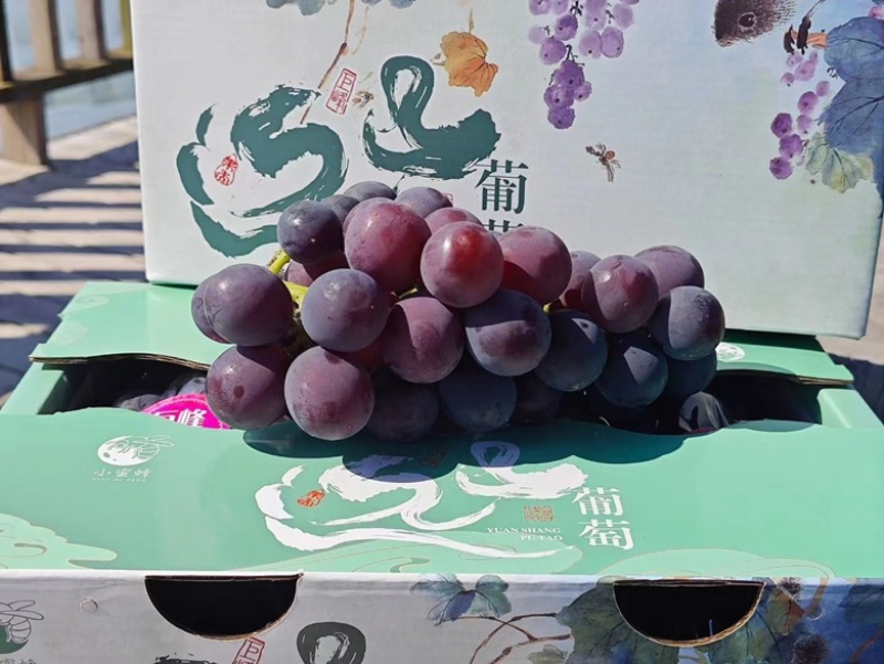 巨峰礼盒精品包装
