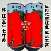 韩红宝石胡萝卜种子南韩引进原种的红胡萝卜种子成品率高
