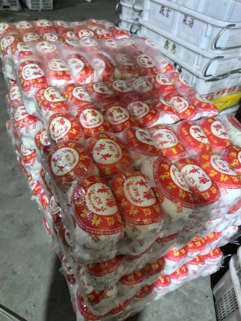【实力推荐】娃娃菜大娃娃菜，专业削菜工，打包工欢迎选购