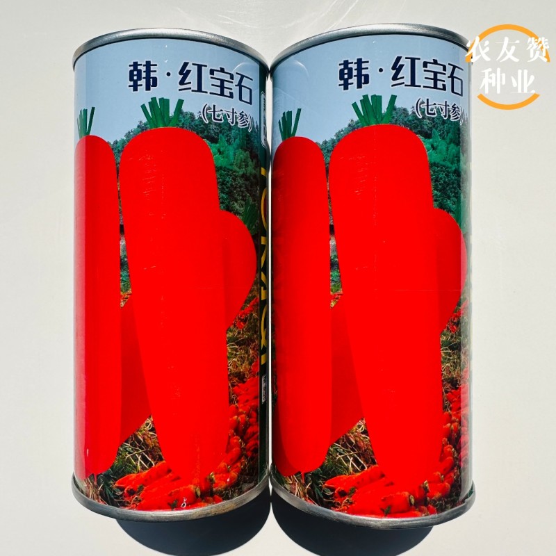 韩红宝石胡萝卜种子南韩引进原种的红胡萝卜种子成品率高