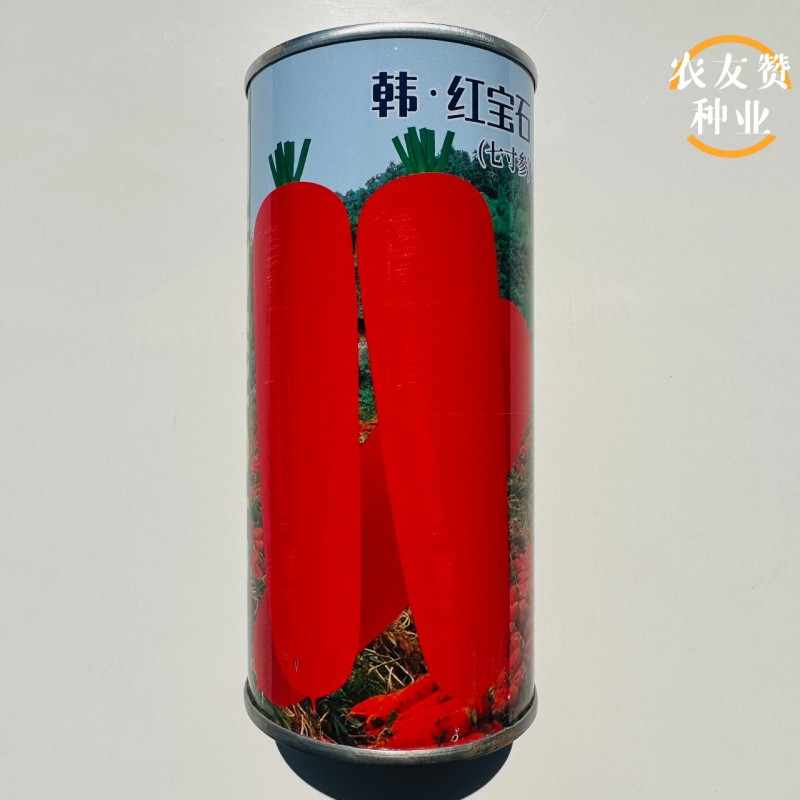 韩红宝石胡萝卜种子南韩引进原种的红胡萝卜种子成品率高