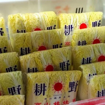 【实力推荐】湖北娃娃菜小娃娃菜，毛菜，黄度高。包装齐全