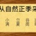 （包邮）新茶正山小种红茶浓香型茶叶武夷山蜜香型500g