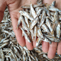 猫鱼干电商淡水无盐小鱼干宠物零食猫鱼狗鱼干干鱼