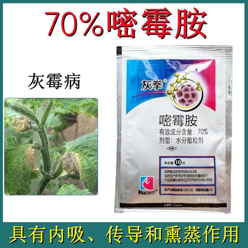 70%嘧霉胺杀菌剂灰霉病蔬菜番茄黄瓜葡萄菌核病灰霉病叶霉