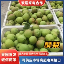 基地千亩酥梨大量上市，量大质优，欢迎各位老板前来洽谈！
