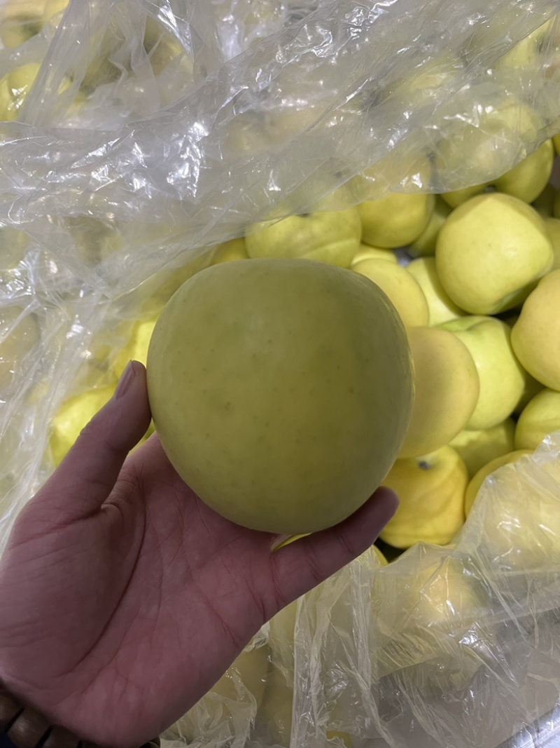 陕西瑞雪苹果种植基地一件代发商超供货市场代发