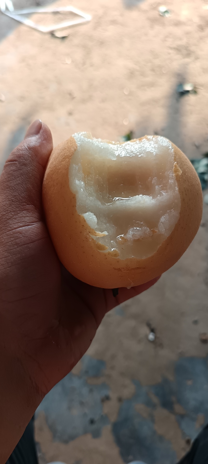 砀山丰水梨，皮薄汁水多，产地直发对接全国市场，电商，商超