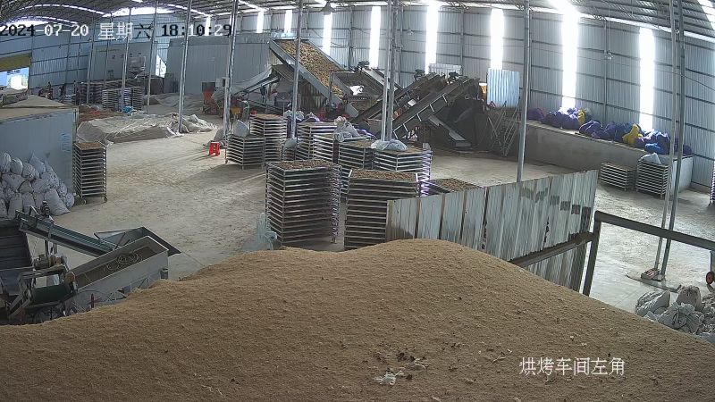 精选贵州太子参孩子参煲汤料产地直批