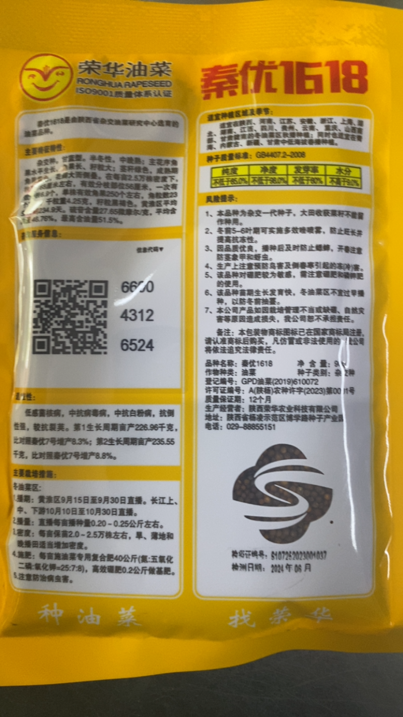秦优1618油菜种子抗倒/高产/高油/易机收