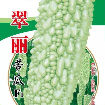 翠丽苦瓜珍珠苦瓜中迟熟产量高瓜型美易座果抗高温基地专用
