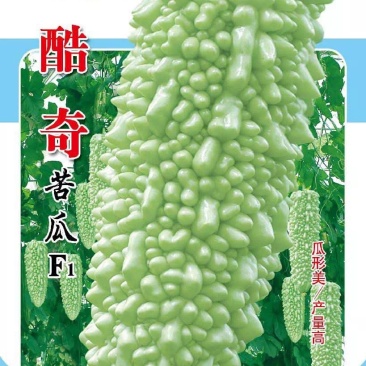 酷奇珍珠苦瓜种子密刺苦瓜收获大耐热基地专用春秋